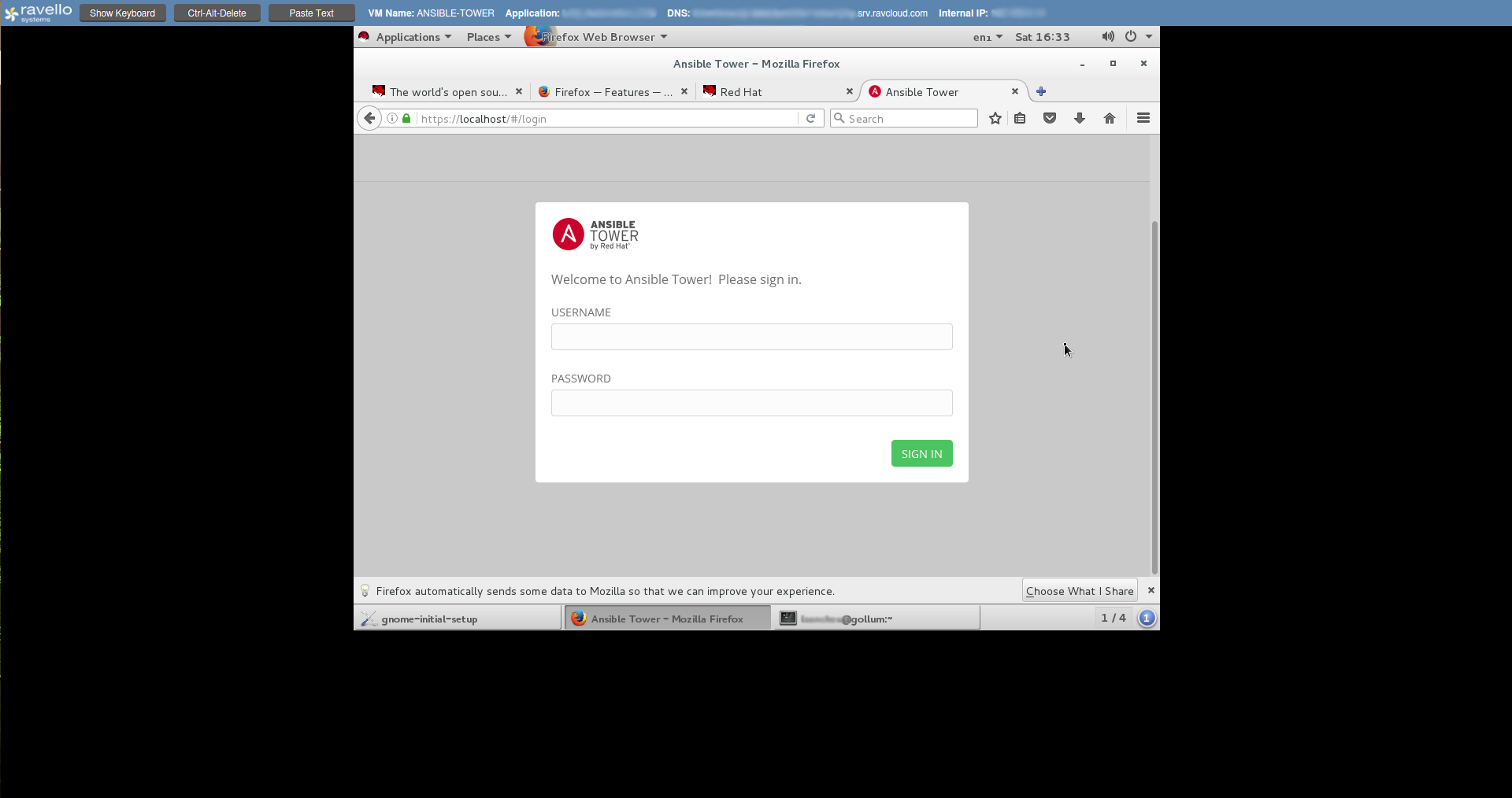 RedHat Live VM